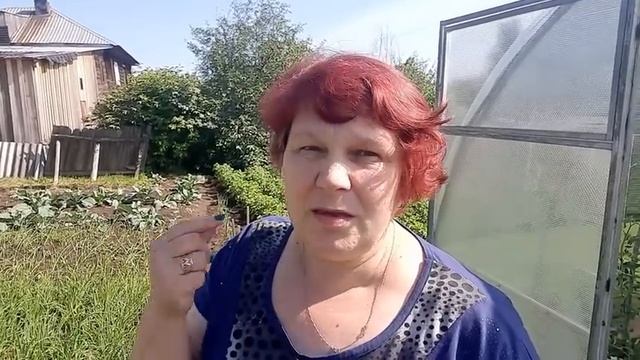Чем ПОДКОРМИТЬ ЛУК за Месяц до Уборки❗ чтобы Вырос с Кулак ?ВАЖНАЯ ИНФОРМАЦИЯ для Хорошего Урожая? смотреть онлайн