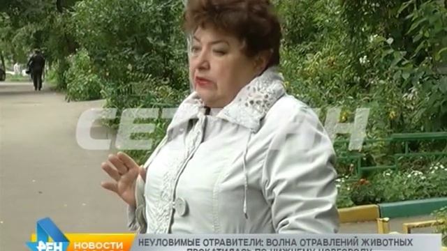 Неуловимые отравители: волна отравлений животных прокатилась по Нижнему Новгороду смотреть онлайн