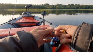 Вся рыба в траве, как нам об этом скажет современный эхолот