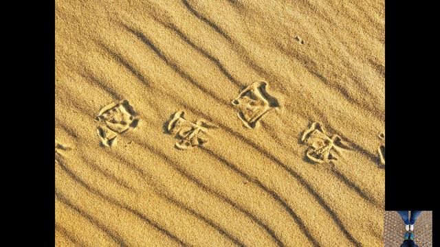 Вспоминая Саркюля смотреть онлайн