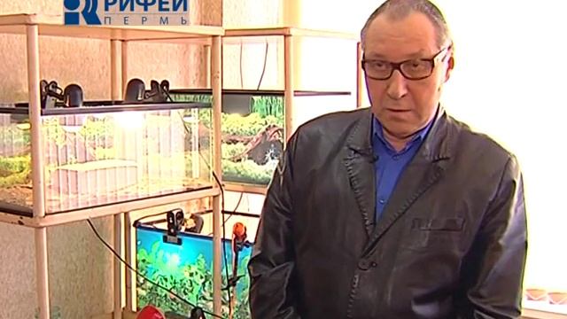 cюжет Избавляемся от моли 25 02 14 смотреть онлайн