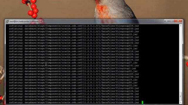 Oracle 11GR2 Installation # Part 2 смотреть онлайн