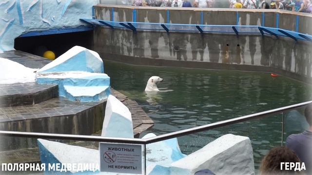 ВСЕХ БЕЛЕЕ И МИЛЕЕ. Скажите, как её зовут?.. смотреть онлайн