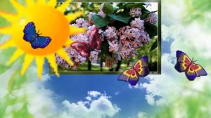 За окошком распустилась сирень