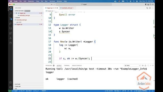 Interfaces 101 : Interface Type Assertion смотреть онлайн