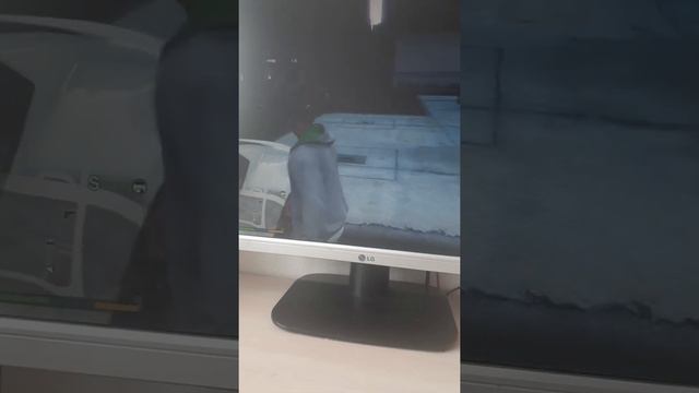 Ограбление магазина в GTA5. смотреть онлайн