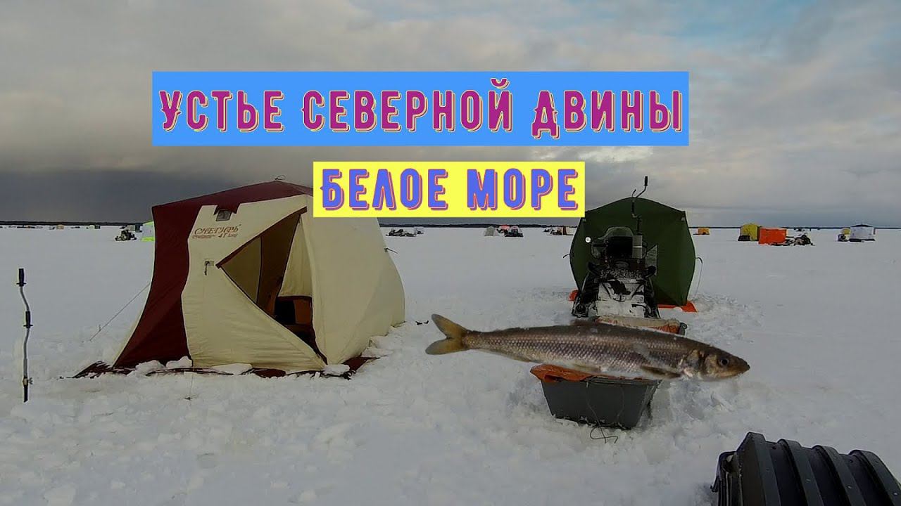 Устье С.Двины/ КОРЮХ/БЕЛОЕ МОРЕ смотреть онлайн