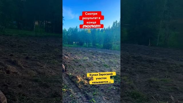 ЗАЧИСТКА УЧАСТКА ОТ КУСТАРНИКА #shorts #экскаватор #стройка #участок #jcb #дача #строительство #дом смотреть онлайн