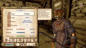 Oblivion | Лучшая броня для вора и ассасина | Секреты Oblivion