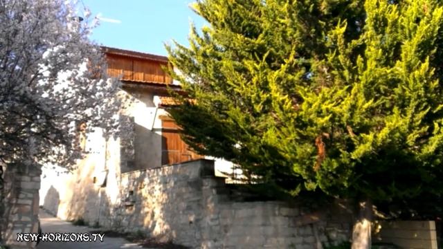 цветение миндаля на Кипре. almond blossom in Cyprus. смотреть онлайн