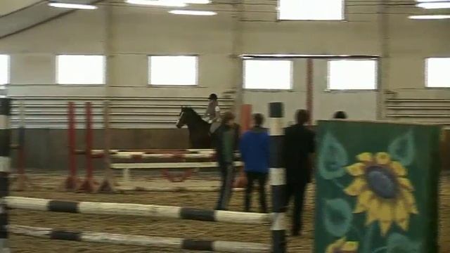 Джордж Моррис. Старший тренер сборной США по конкуру. Мастеркласс в СПБ. смотреть онлайн