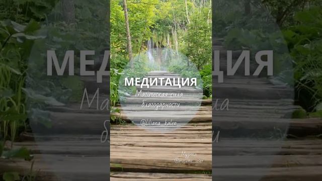 УЛУЧШИ СВОЮ ЖИЗНЬ. НАЧНИ С БЛАГОДАРНОСТИ отрывок из медитации Магическая сила благодарности #shorts смотреть онлайн