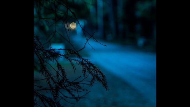 Fallout 76´s Kreaturen - Grafton Monster смотреть онлайн