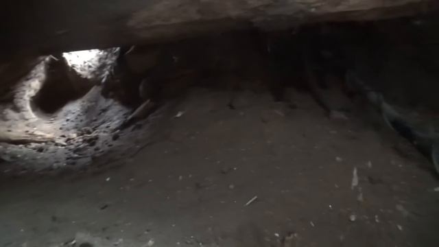 Шурф.?Такое ещё ни кто не находил. Дорогущая монета - в поиске золота. смотреть онлайн