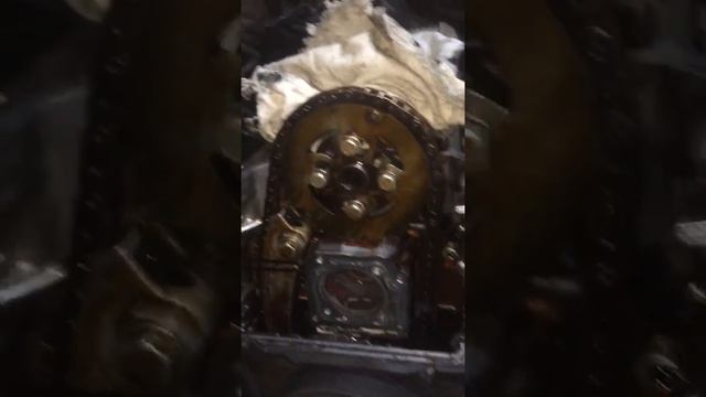 Замена прокладок гбц мотор м43 Бмв Е36 смотреть онлайн