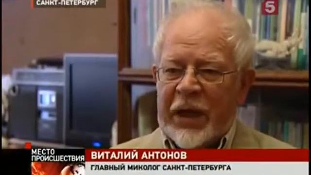 Плесень! Грибок! смотреть онлайн