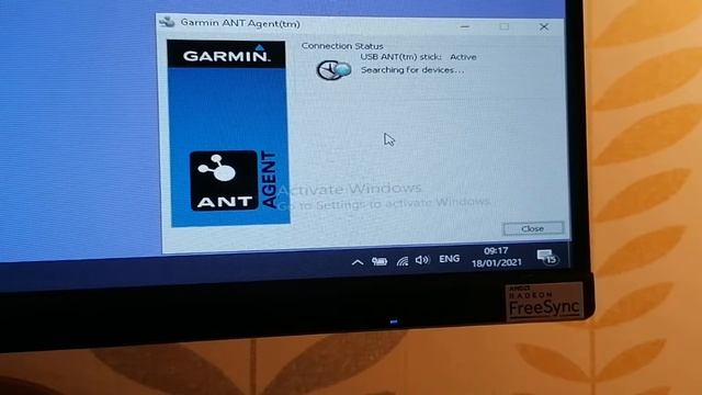 Ant Stick 2 смотреть онлайн
