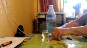 Аквариум для начинающих Разводим коловратку для мальков петушка, гурами, неона