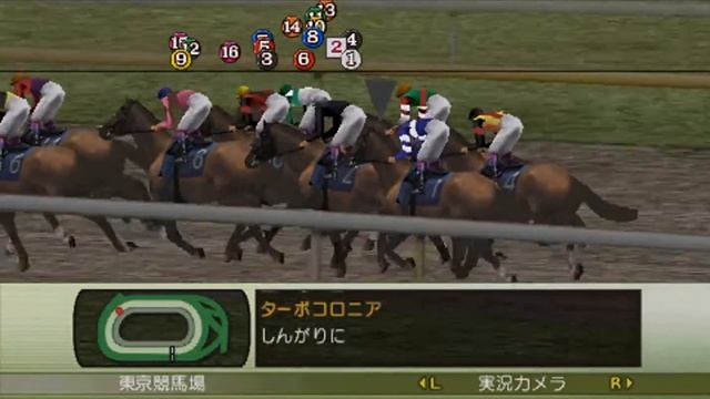 winning post 7 2009 　フェブラリーステークス смотреть онлайн