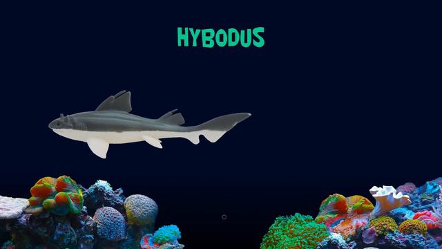 Sharks and Prehistoric Sea Life Collection - The Kids' Picture Show (Fun & Educational) смотреть онлайн