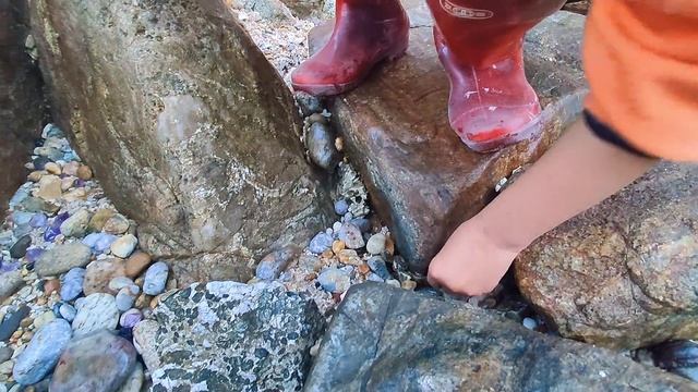 Ying catches crabs and conch in the South China Sea смотреть онлайн