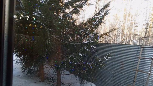 благодарим Наталью Александровну за помощь нашим белкам. смотреть онлайн