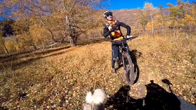 Катунская тропа, Алтай, золотая осень смотреть онлайн