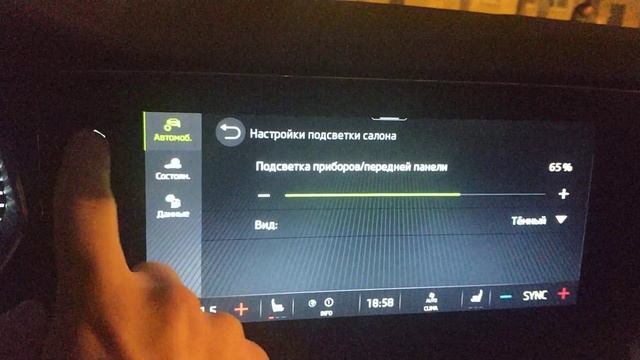 Skoda Octavia A8. Косяки ПО Columbus (MIB3). смотреть онлайн