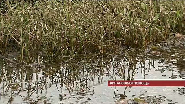 Финансовая помощь жертвам стихии смотреть онлайн