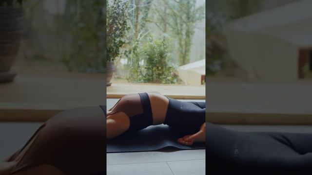 Медитация против мудаков смотреть онлайн