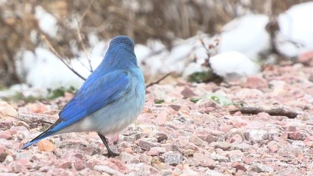 Всем доброго утра и хорошего дня! смотреть онлайн