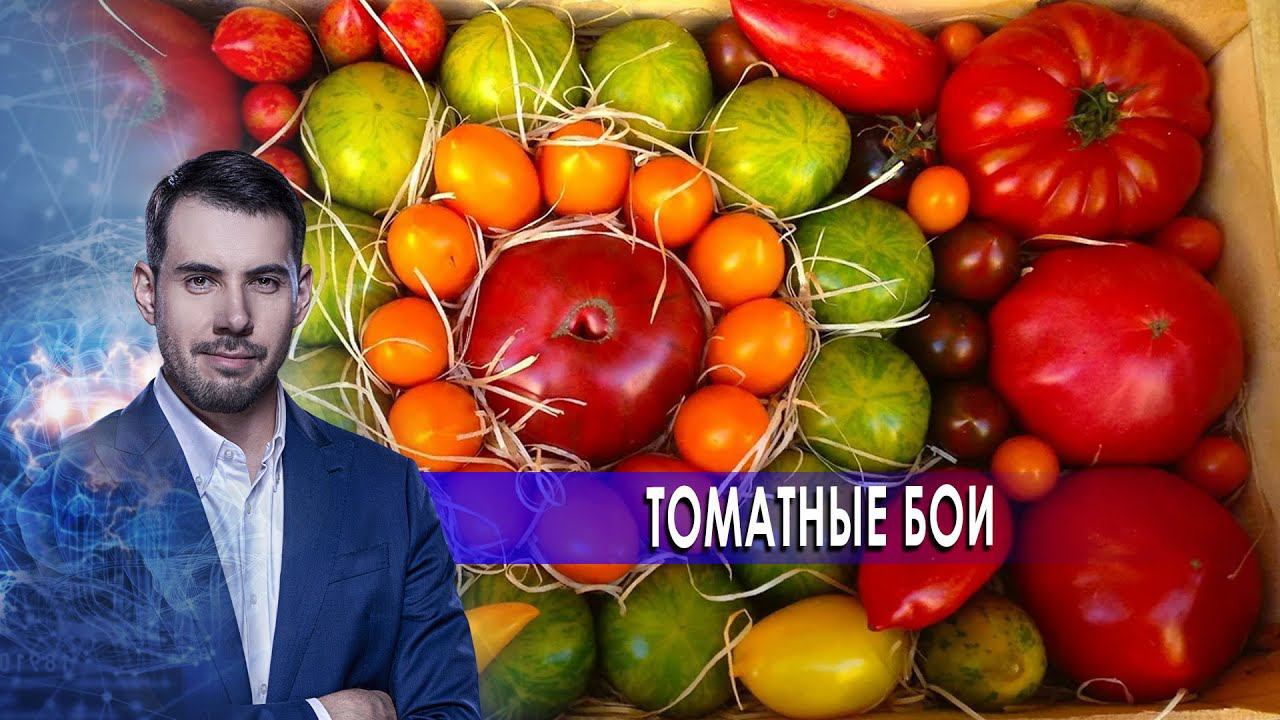 Томатные бои. Самая полезная программа.(24.10.2020). смотреть онлайн