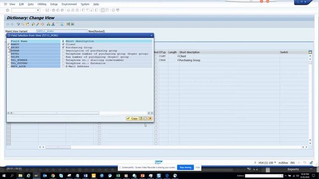 SAP ABAP: In SAP How To Create A Maintenance View Variant?
