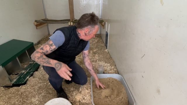 Marans, Schwedische Blumenhühner, Grünleger neue Hühner im neuen Hühnermobil, mobiler Hühnerstall смотреть онлайн