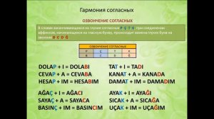 Турецкий язык. Урок 2. Правило гармонии. Часть 2. Гармония согласных