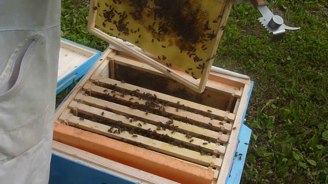 Обрабатываем Пчёл от Клещей смотреть онлайн