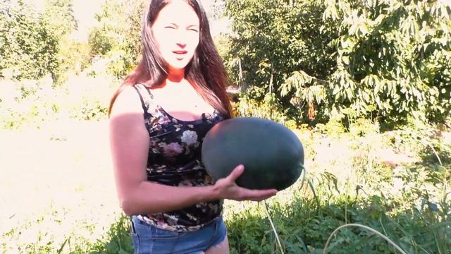 Арбузы и дыни. Выращиваю сладкие и большие на пленке!!! (укр) смотреть онлайн