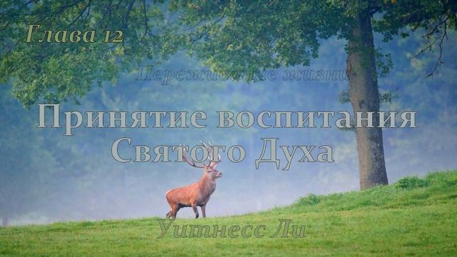 "Принятие воспитания Святого Духа" Уитнесс Ли глава 12 смотреть онлайн