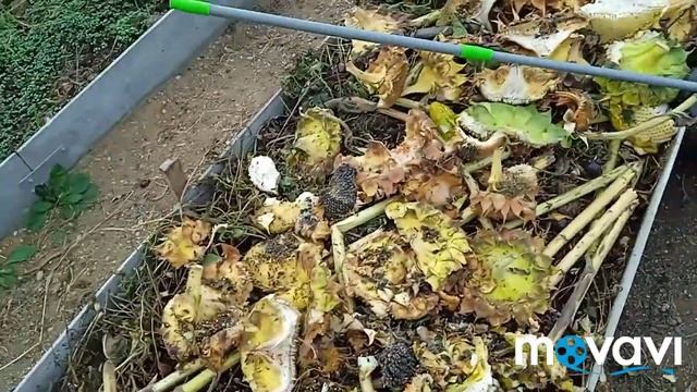 мою теплицу,подготовила гряду для озимого чеснока,выкопала георгины смотреть онлайн