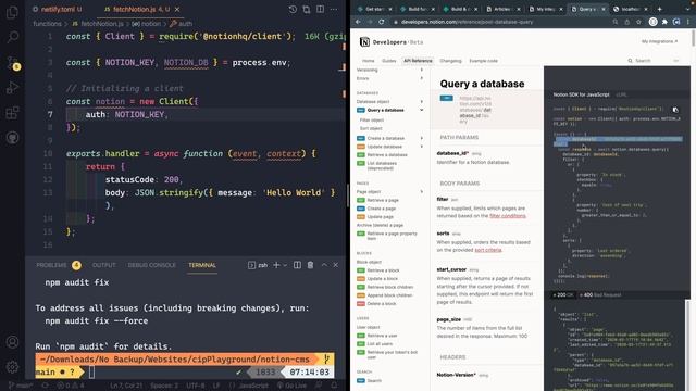 How to Use Notion as a CMS (Part 5: Creating the Netlify serverless function) смотреть онлайн