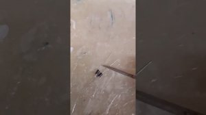 Ветерок 8 Э Подключение кнопки стоп и реле регулятора.