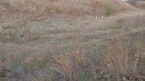 Первая пристрелка сайги 410 по бутылкам с 50 шагов