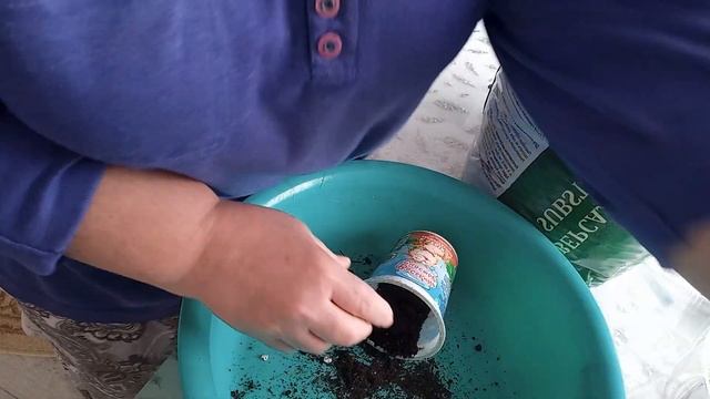 1 марта 2023 г. Сею петунии. смотреть онлайн