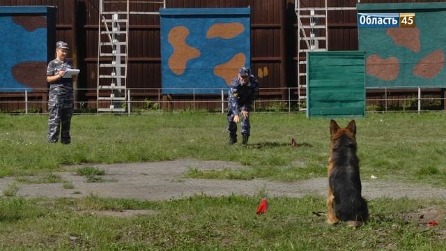 Кинологи исправительных учреждений Зауралья борются за звание лучшего смотреть онлайн