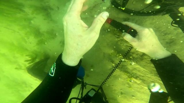 Нашел под водой золотое кольцо 14K смотреть онлайн