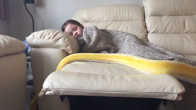 13ft Reticulated Python investigates sleeping human child. Does nothing. As usual. смотреть онлайн