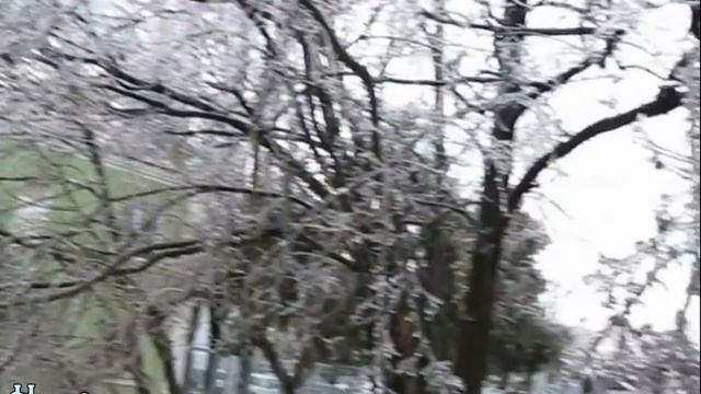 Обледенение в Краснодаре после ледяного дождя. Город в ледяной глазури. смотреть онлайн