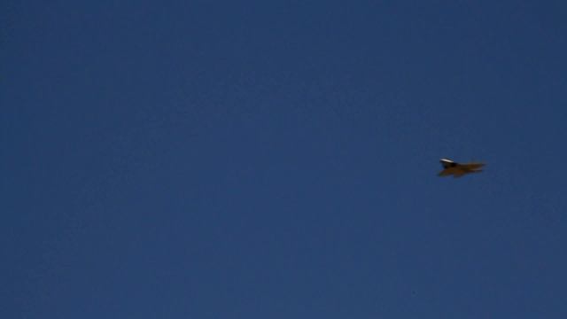 Pro design F22 Maiden and crash, My fault смотреть онлайн
