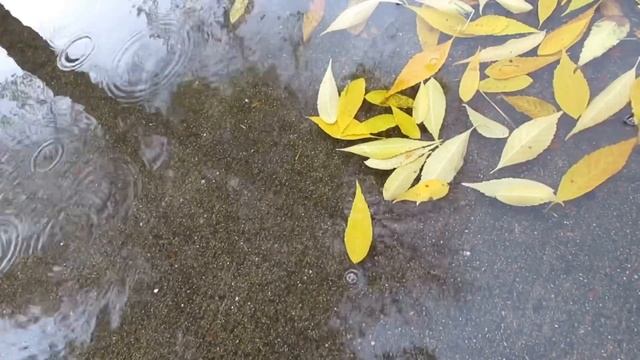 Ушёл ещё один Волшебник. Волшебник Музыки... Гениальный грузинский композитор Гия Канчели.... смотреть онлайн