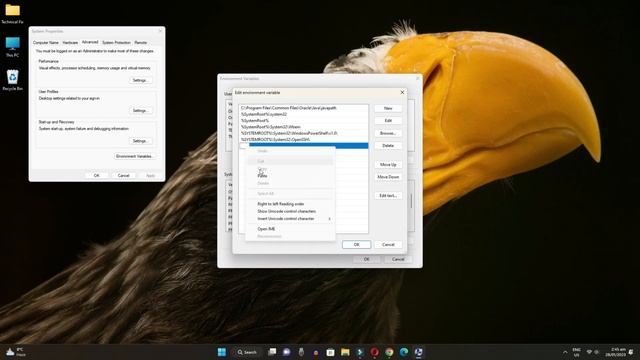 How to Install Java JDK 19 on Windows 11 | Install Java 19 on Windows 11 (2023) смотреть онлайн